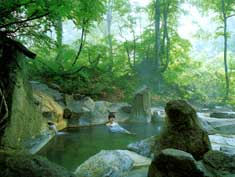 image of Natural hot spring