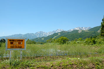 MOTOI's farm against the background of the Northern Alps
