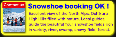 Snowshoe guide